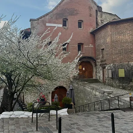 нове! Miamo лисенка 11 * Lviv