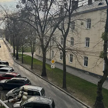 нове! Miamo лисенка 11