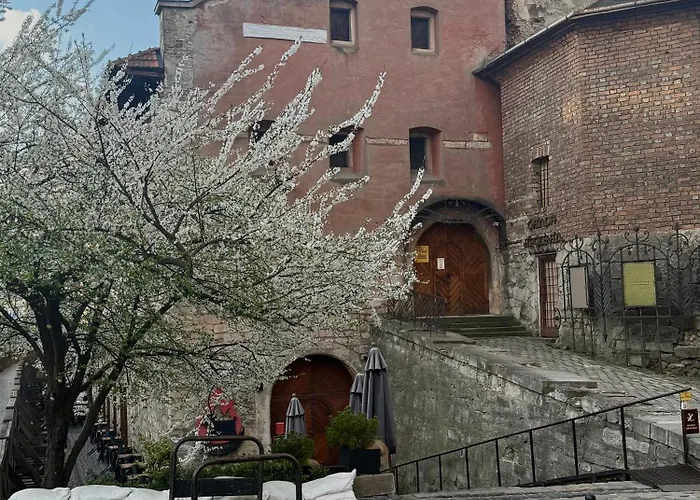 нове! Miamo лисенка 11 * Львів