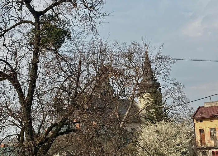 нове! Miamo лисенка 11