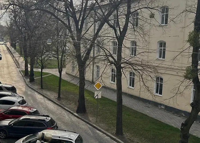 нове! Miamo лисенка 11